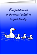 New Pet Congratulations with swans card