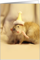 Cute Mouse in Party...