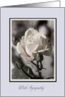 Aged Rose With Sympathy - Blank card