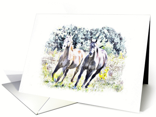 Pair of Running Horses in Field, Blank note card (970649)