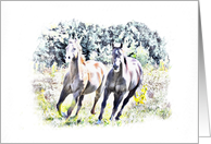Pair of Running Horses in Field, Blank note Cards