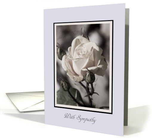 Aged Rose With Sympathy - Blank card (976289)