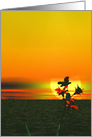 Flowers against a setting sun any occasion blank inside. card
