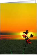 Flowers against a setting sun any occasion blank inside. card
