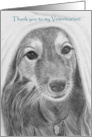 Thank you to my Veterinarian--Dog under blanket card