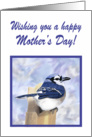 Happy Mother’s Day Bluebird Card--to Daughter card