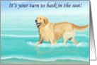 Bask in the Sun Retirement--Golden Retriever on the Beach Card
