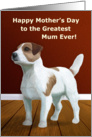 Mother’s Day -- Greatest Mum Ever Jack Russell Terrier Card