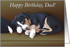 Happy Birthday Dad -- Cute Sleeping Puppy Card
