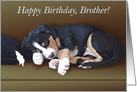Happy Birthday Brother -- Cute Sleeping Puppy Card