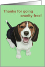 Thanks for Going Cruelty-Free--Smiling Beagle Card