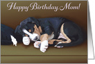 Happy Birthday Mom!--Cute Sleeping Puppy card