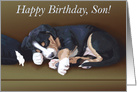 Happy Birthday Son!--Cute Sleeping Puppy card