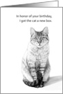 Got cat a new box--Humorous birthday greeting card
