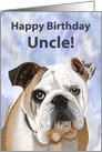 Happy Birthday Uncle!--English Bulldog card