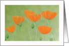 California Poppies Digital Watercolor Painting Blank Notecard card
