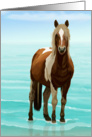 Chincoteague Pony on the Beach--Blank Notecard card