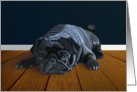 Black Pug Waiting for Playtime--Blank Note card