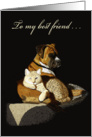 Best Friend Thank You--Dog and Cat Together Card