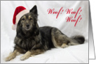 Maia Christmas Card