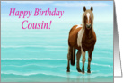 Chincoteague Pony on the Beach--Happy Birthday Cousin card