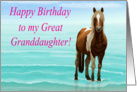 Chincoteague Pony on the Beach--Happy Birthday Great Granddaughter card