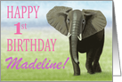 Curious Elephant--Happy 1st Birthday Custom Name Girl card