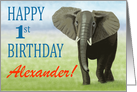 Curious Elephant--Happy 1st Birthday Custom Name Boy card