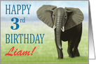 Curious Elephant--Happy 3rd Birthday Custom Name Boy card