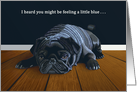 Black Pug-Feeling Blue Get Together/here for you card