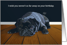 Black Pug--Far Away Birthday Wishes card