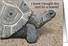 Tortoise--I knew I bought this card for a reason belated birthday card