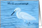 White Egret--Words are not enough sympathy card