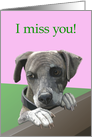 I Miss You--Sad Puppy Looking Over Fence card