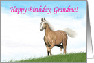 Cloud Palomino Birthday Card for Grandma card