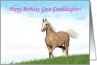 Cloud Palomino Birthday Card for Great Granddaughter card