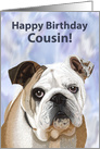 English Bulldog Puppy Birthday for Cousin card