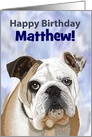 English Bulldog Puppy--Custom Name Birthday Card (e.g., Matthew) card