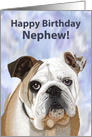 English Bulldog Puppy Birthday Card for Nephew card