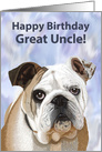 English Bulldog Puppy Birthday Card for Great Uncle card
