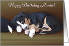Naughty Puppy Sleeping--Birthday for Auntie card
