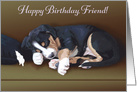 Naughty Puppy Sleeping--Birthday for Friend card