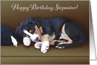 Naughty Puppy Sleeping--Birthday for Stepsister card