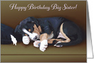 Naughty Puppy Sleeping--Birthday for Big Sister card