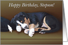 Naughty Puppy Sleeping--Birthday for Stepson card