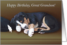 Naughty Puppy Sleeping--Birthday for Great Grandson card