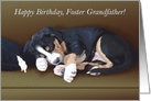 Naughty Puppy Sleeping--Birthday for Foster Grandfather card