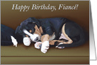 Naughty Puppy Sleeping--Birthday for Fiance card