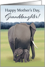 Mother and Baby Elephant--Mother’s Day for Granddaughter card