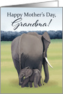 Mother and Baby Elephant--Mother’s Day for Grandma card